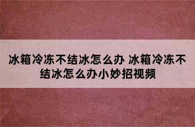 冰箱冷冻不结冰怎么办 冰箱冷冻不结冰怎么办小妙招视频